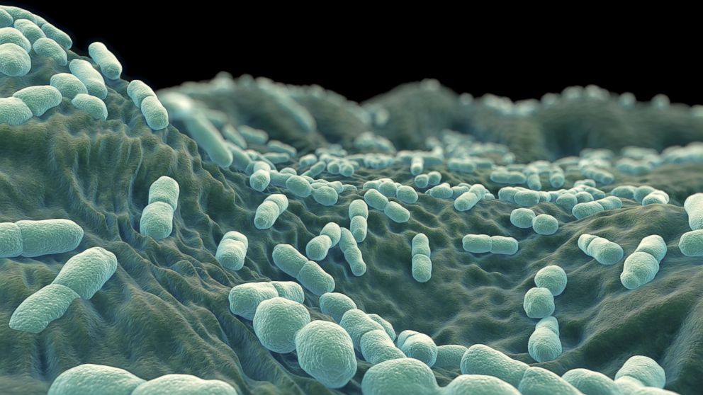 A Blue Bell Listeria Timeline 2010 To 2015 Marler Blog