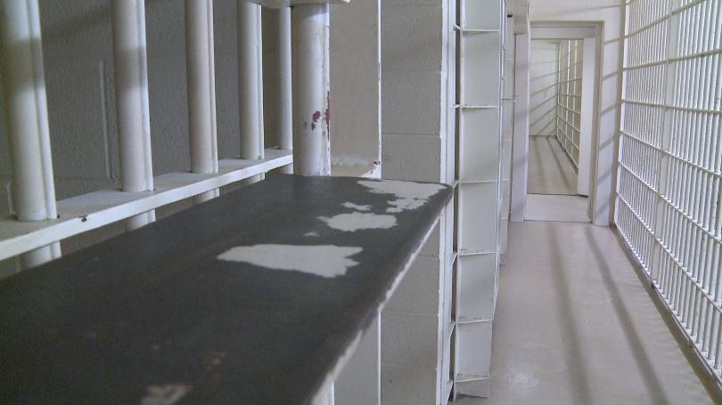 HOW MANY JAILS IN MICHIGAN visual data 7