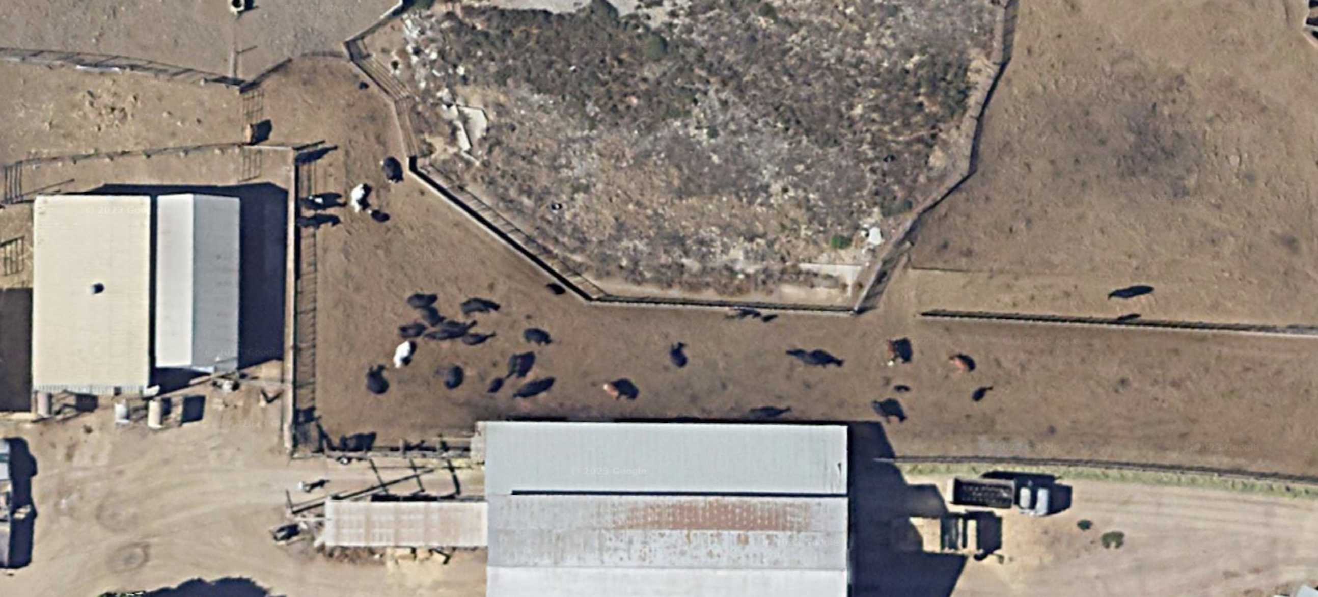 Publisher’s Platform: A picture is worth far more than 1,000 words