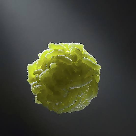 After kids get sick from Applesauce with lead and Infant Formula with Cronobacter, FDA leaders step up
